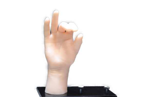 Ultrarealistische Männer-Hand für die MM Handmaid